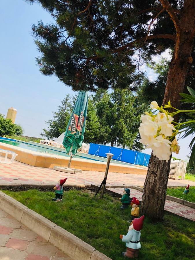 Pensiunea Paradis Vrancean Cotesti  Экстерьер фото